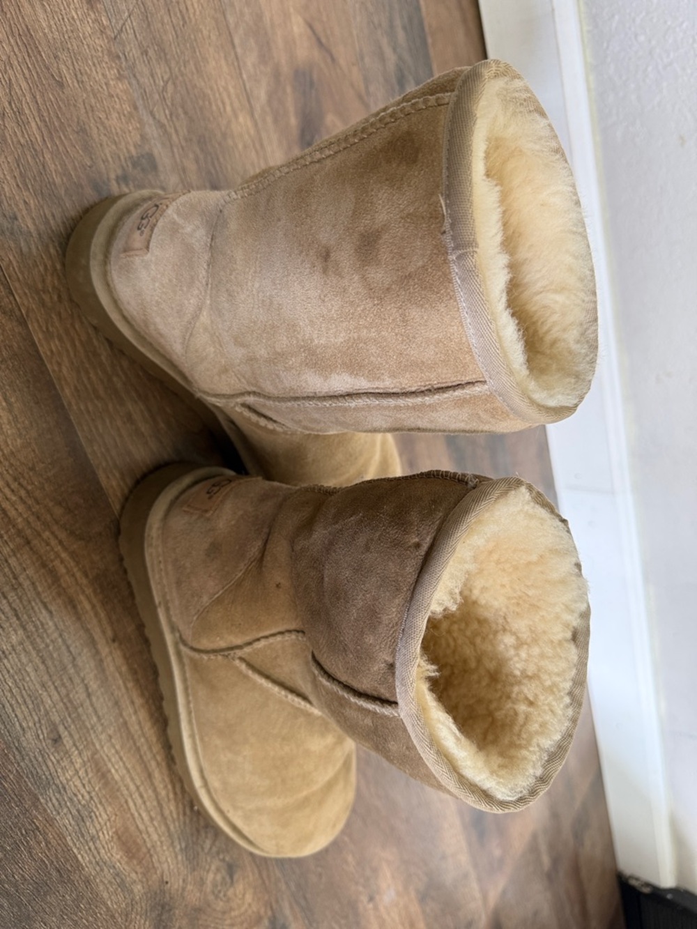 UGG Classic Short Boots in Chestnut